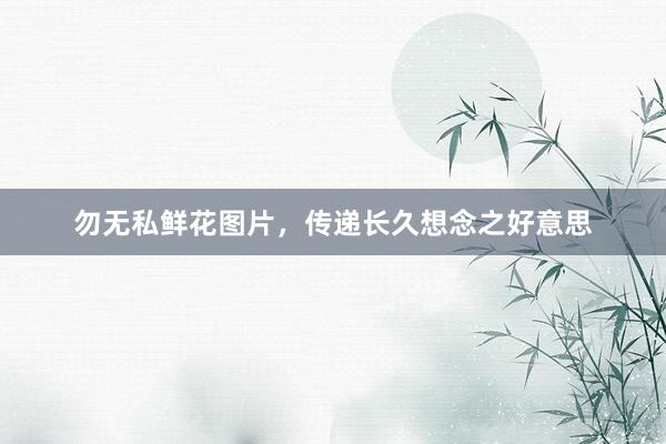 勿无私鲜花图片，传递长久想念之好意思